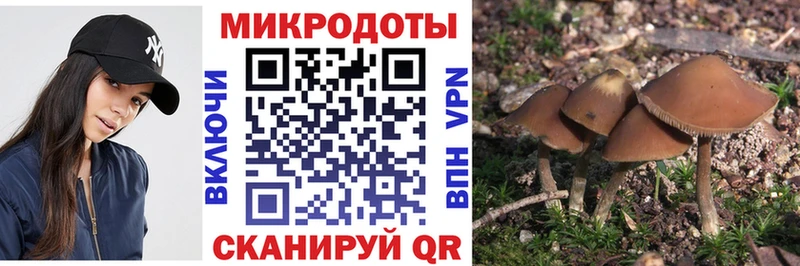 Псилоцибиновые грибы ЛСД  как найти закладки  Хадыженск 